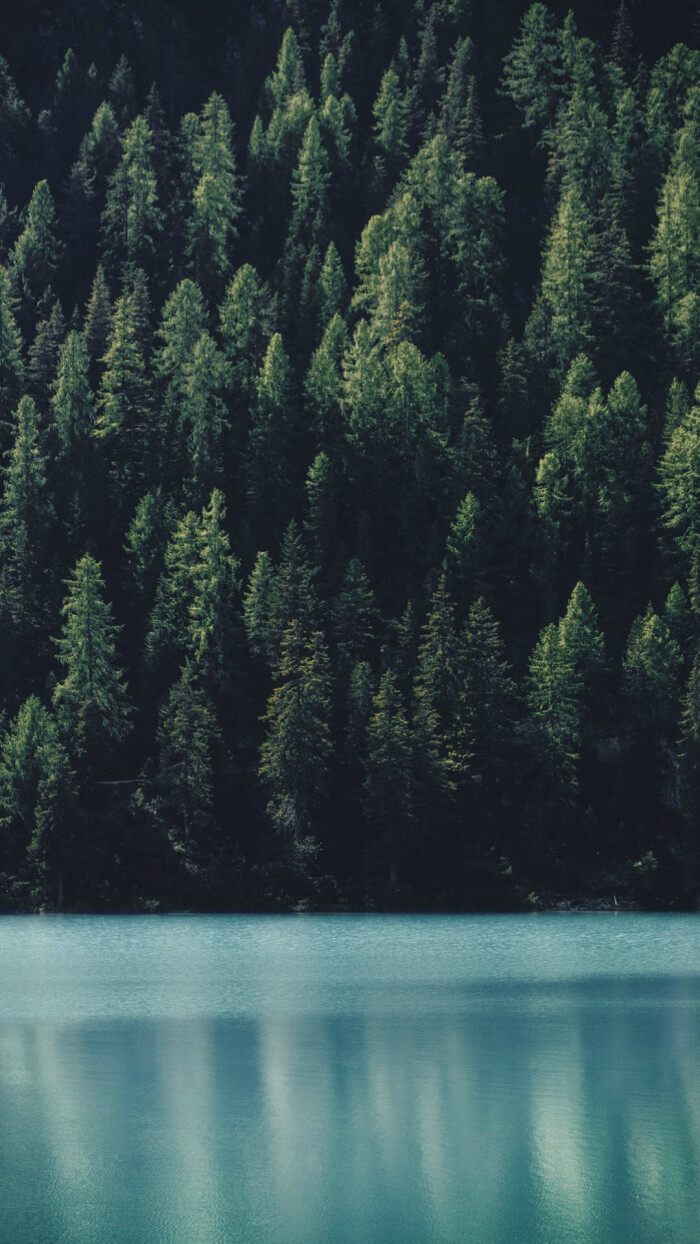 微博壁纸集-风景静物系列-堆糖,美好生活研究所