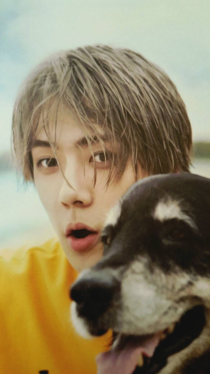 吴世勋 exo sehun