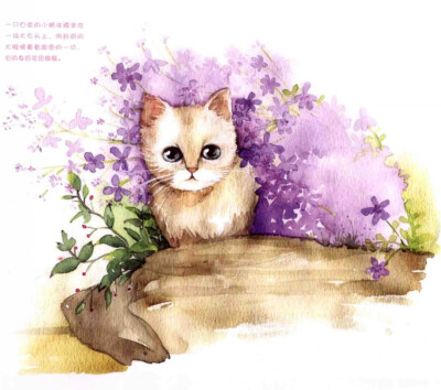 水彩猫咪绘画素材:手绘水彩教程可爱猫咪动物卡通绘画临摹素材