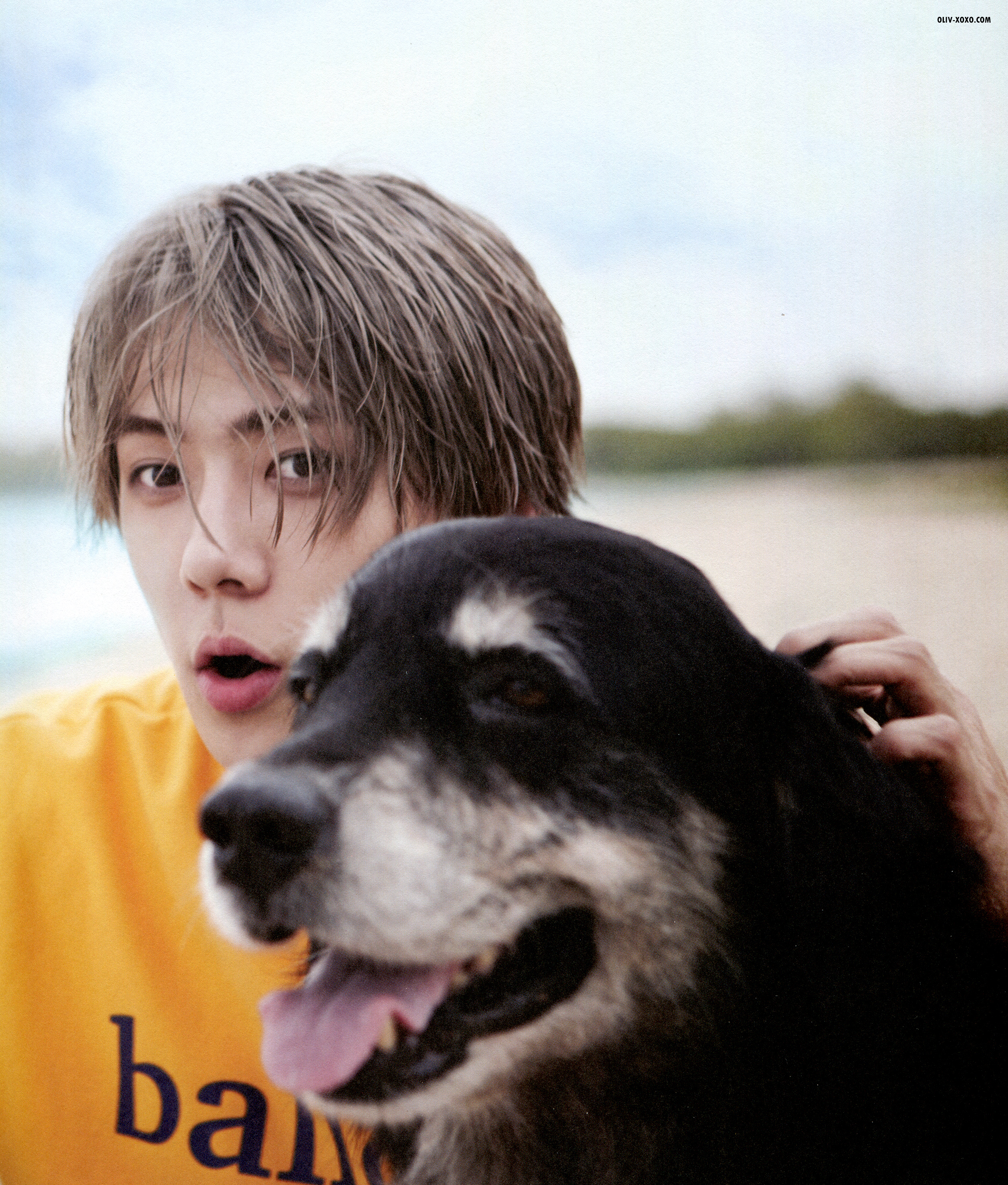 斐济写真 exo 张艺兴lay 金钟大chen 朴灿烈…-堆糖,美好生活研究所