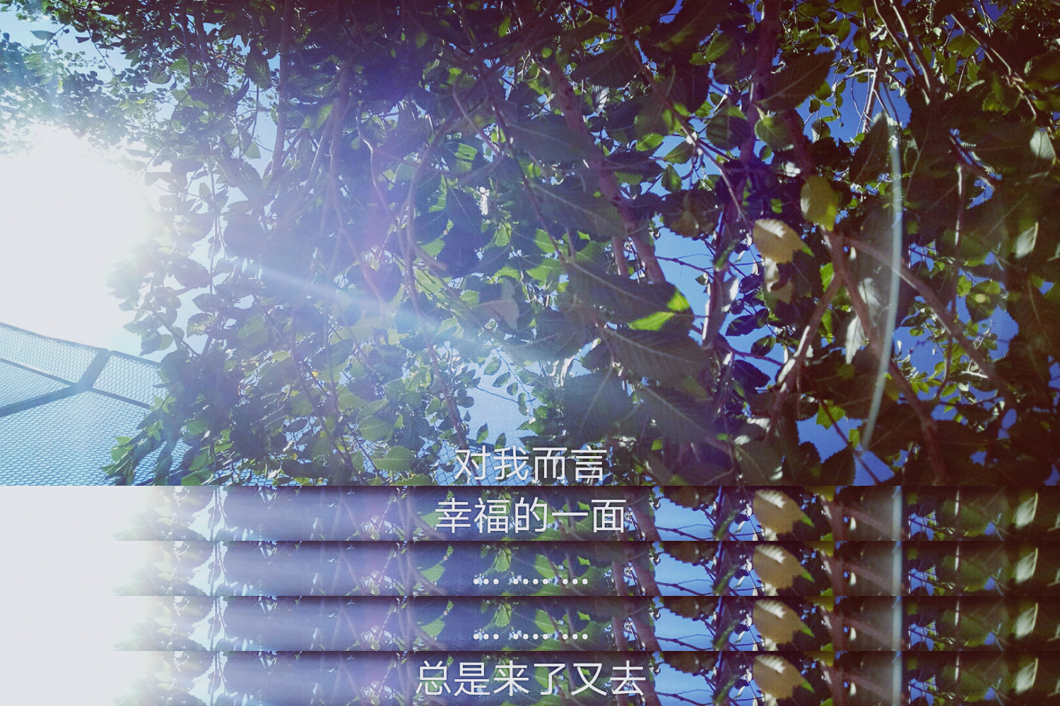 文字 伤感 偷影子的人