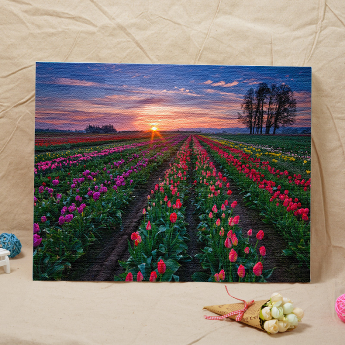加厚框diy亚麻布油画花卉风景客厅人物动漫大幅装饰画包邮