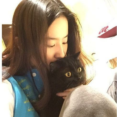 【自截找图】【禁止二传】 自截头像…-堆糖,美好生活