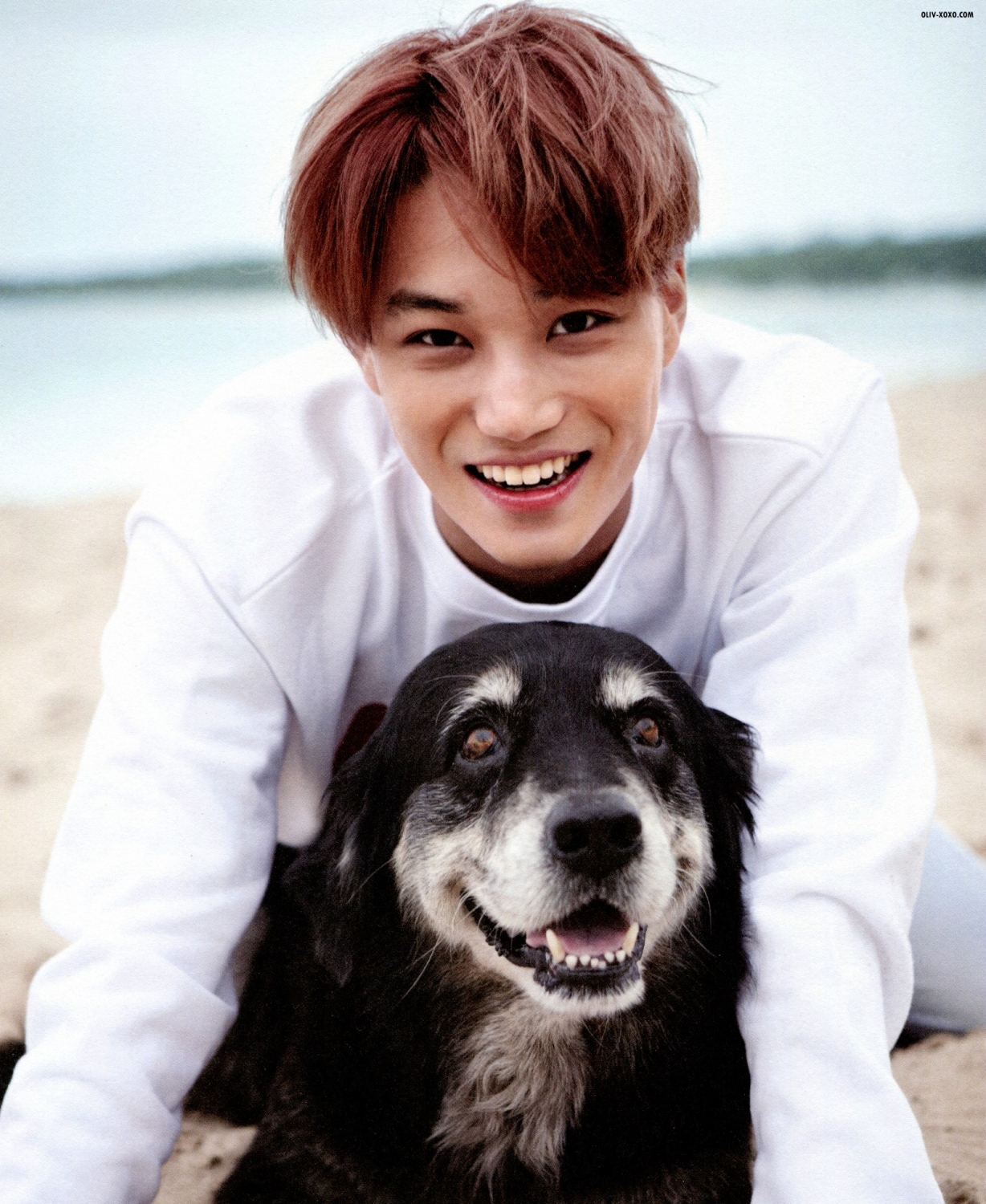 exo 斐济写真《dear happiness》-堆糖,美好生活研究所