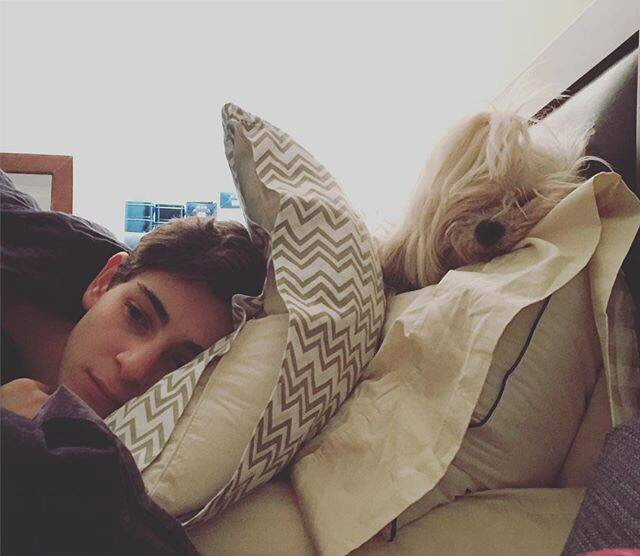 大卫马佐兹 david mazouz