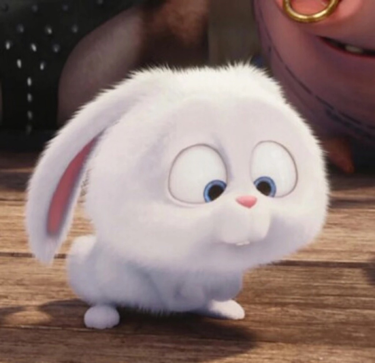 雪球兔子头像图片