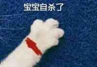 猫爪牵手表情包