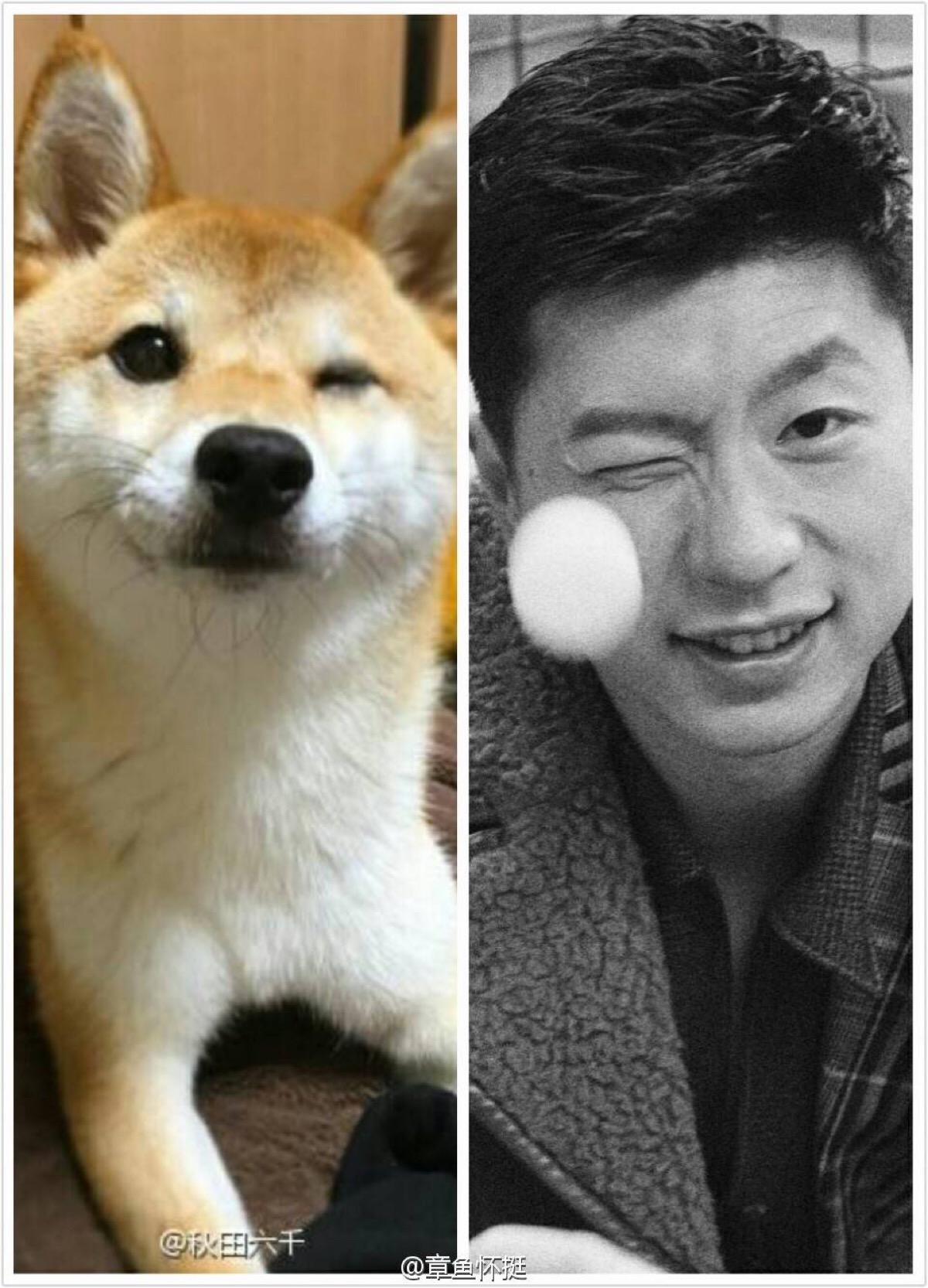 马龙