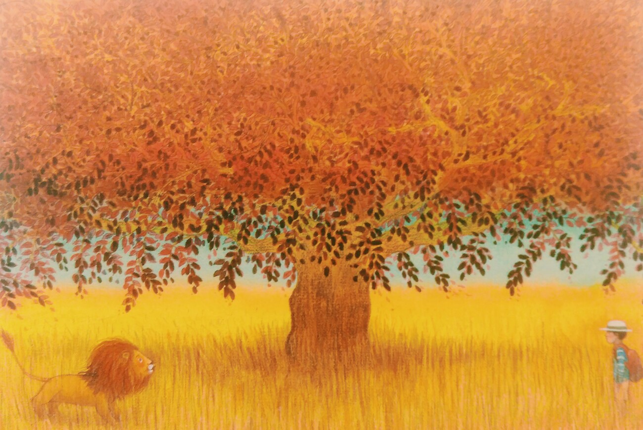 几米^ 插画* 漫画 大树, 狮子～ 男孩, 童话° 秋- 相遇: 浪漫!