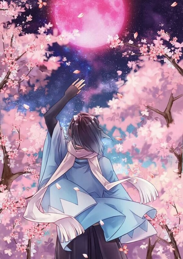 冷清的孤月,挥手告别,一个人静默走远,走远