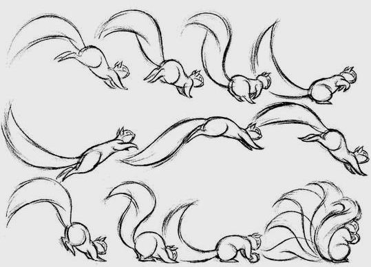 松鼠尾巴运动规律图图片