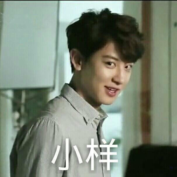 exo表情包 朴灿烈 chanyeol
