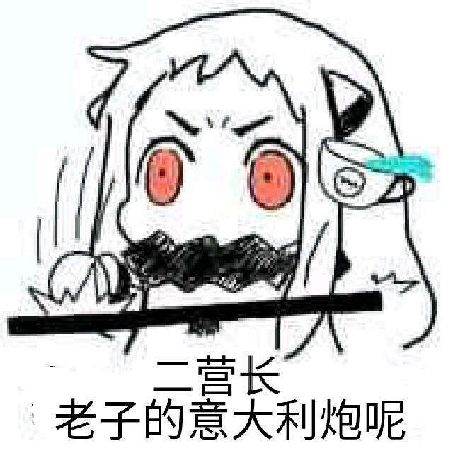 小北方の表情包
