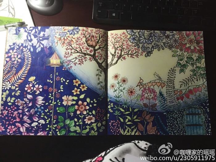 彩铅手绘教程绘画教程二次元动漫异瞳孔秘密花园上色大白小黄人十二
