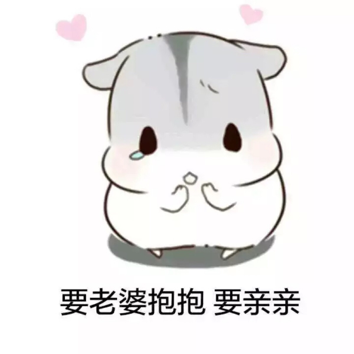 hamham 小仓鼠表情包