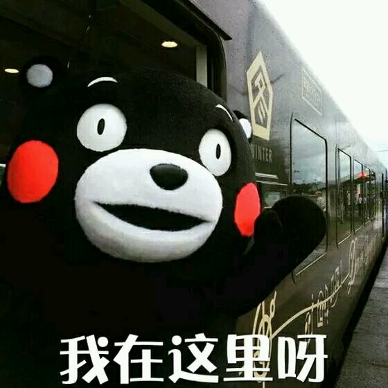 日本 逗 表情包 熊本熊