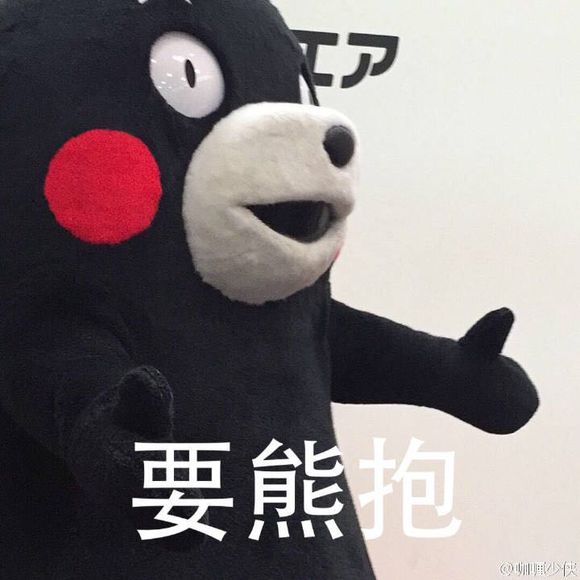日本 逗 表情包 熊本熊