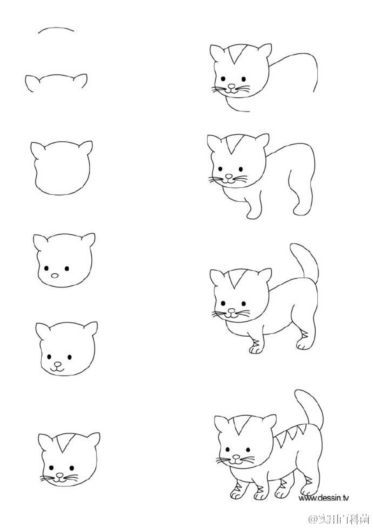 猫 简笔画