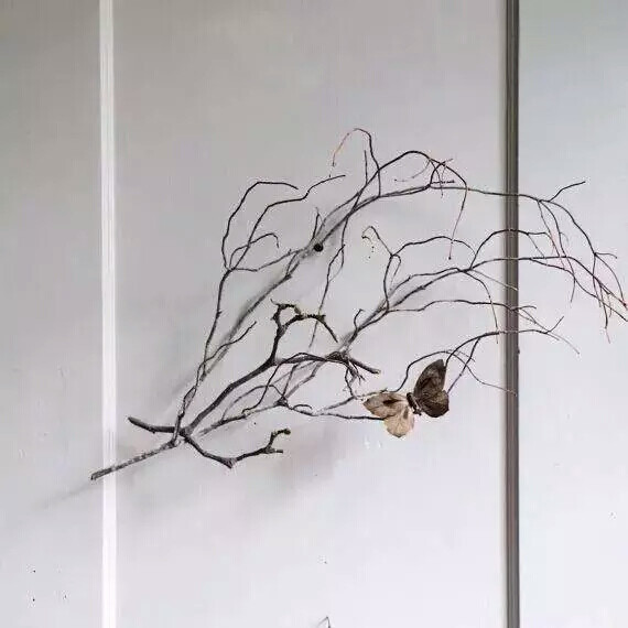 一截枯枝,让人想到了物哀,侘寂,想到了残缺之美.
