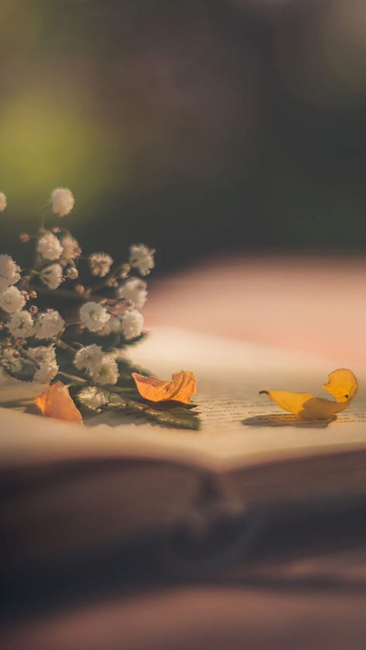 壁纸-堆糖,美好生活研究所