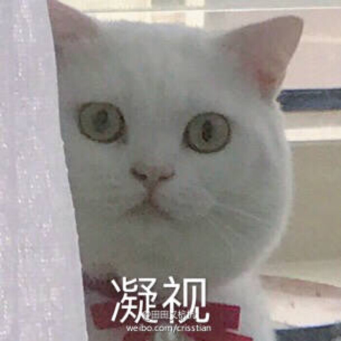 表情圈票圈朋友心情片图可表开包爱不定期v表情-堆糖,美好生活图片