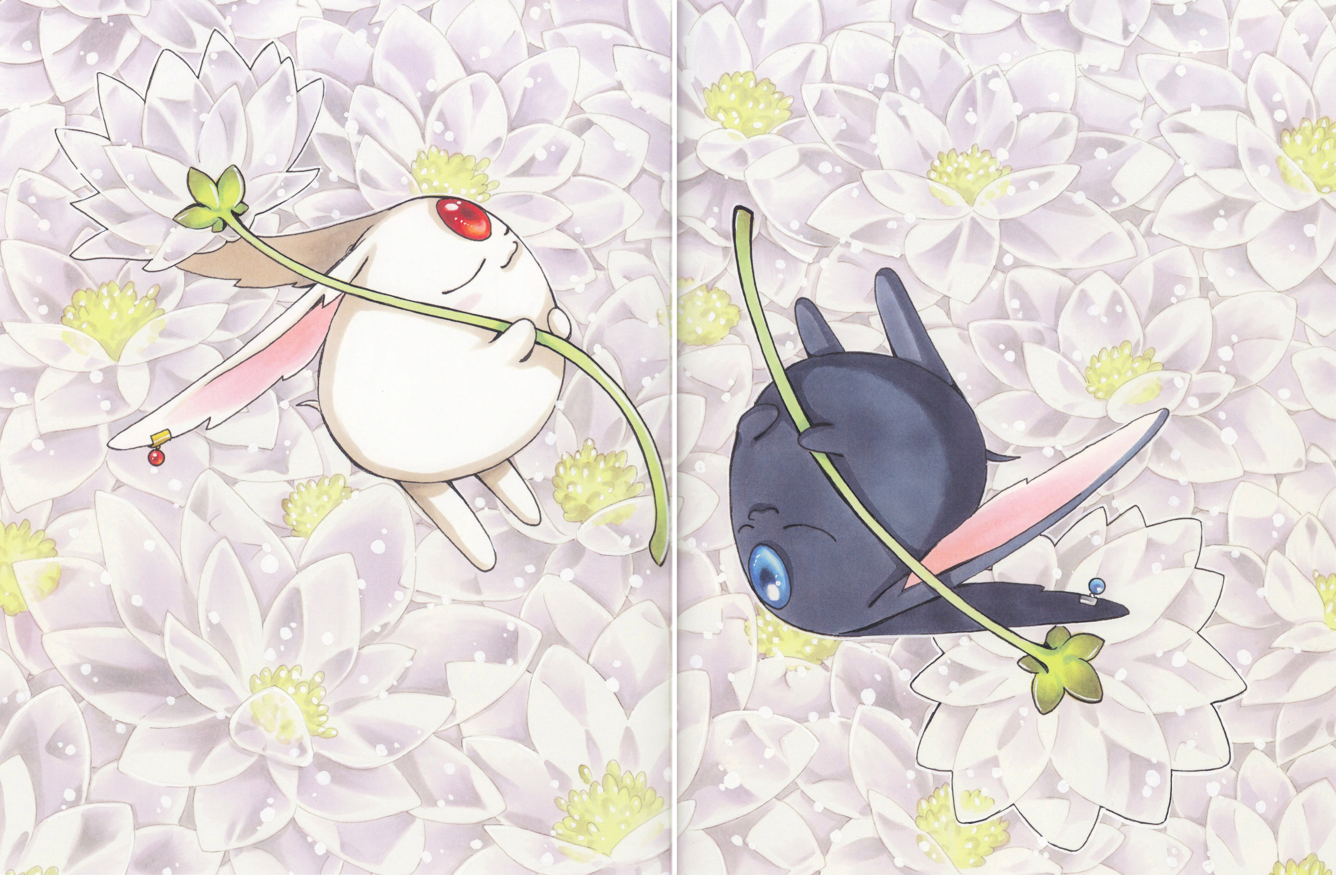 原画集系列-翼年代记 clamp高清画集 第二册