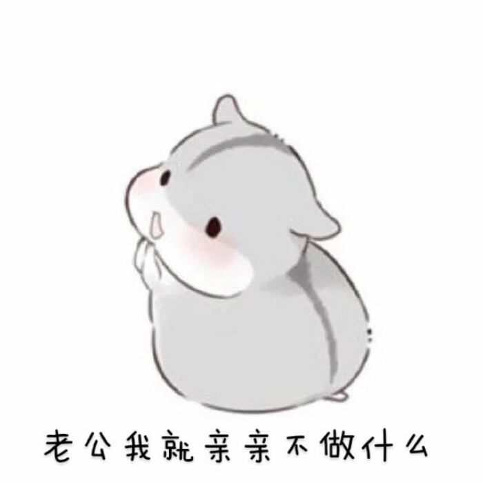 仓鼠表情表情播虎牙包难言主图片