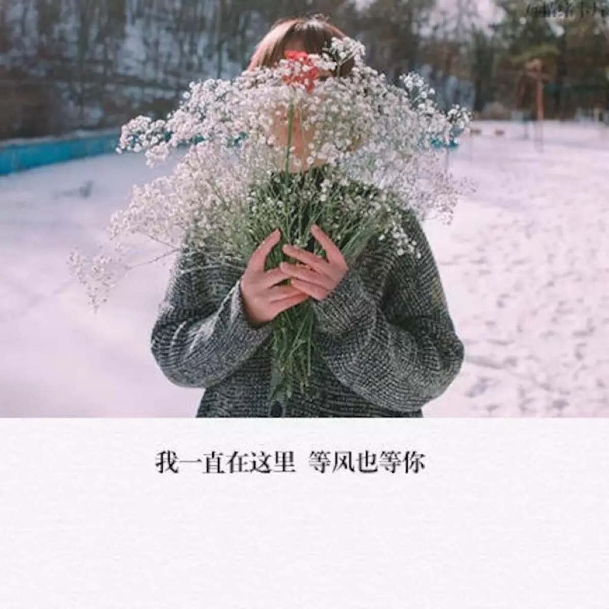 我一直在这里 等风也等你