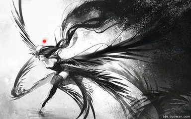 鸩鸟_360图片