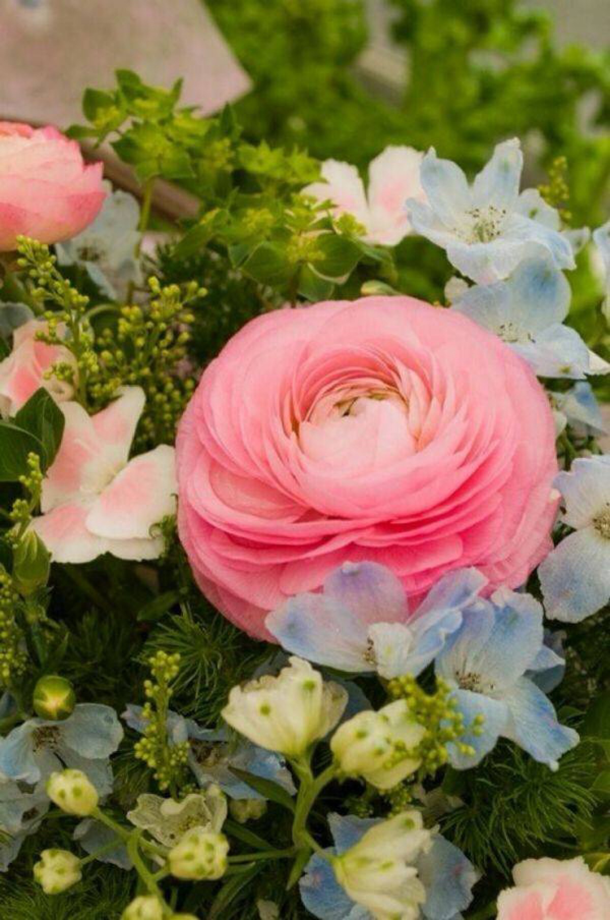 唯美意境-堆糖,美好生活研究所