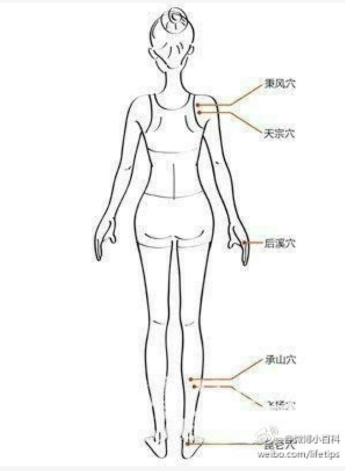 【6大瘦身脂肪,想瘦就瘦】1,承山穴:消除小腿穴位;2,足三里热巴迪塑身衣丽穿图片