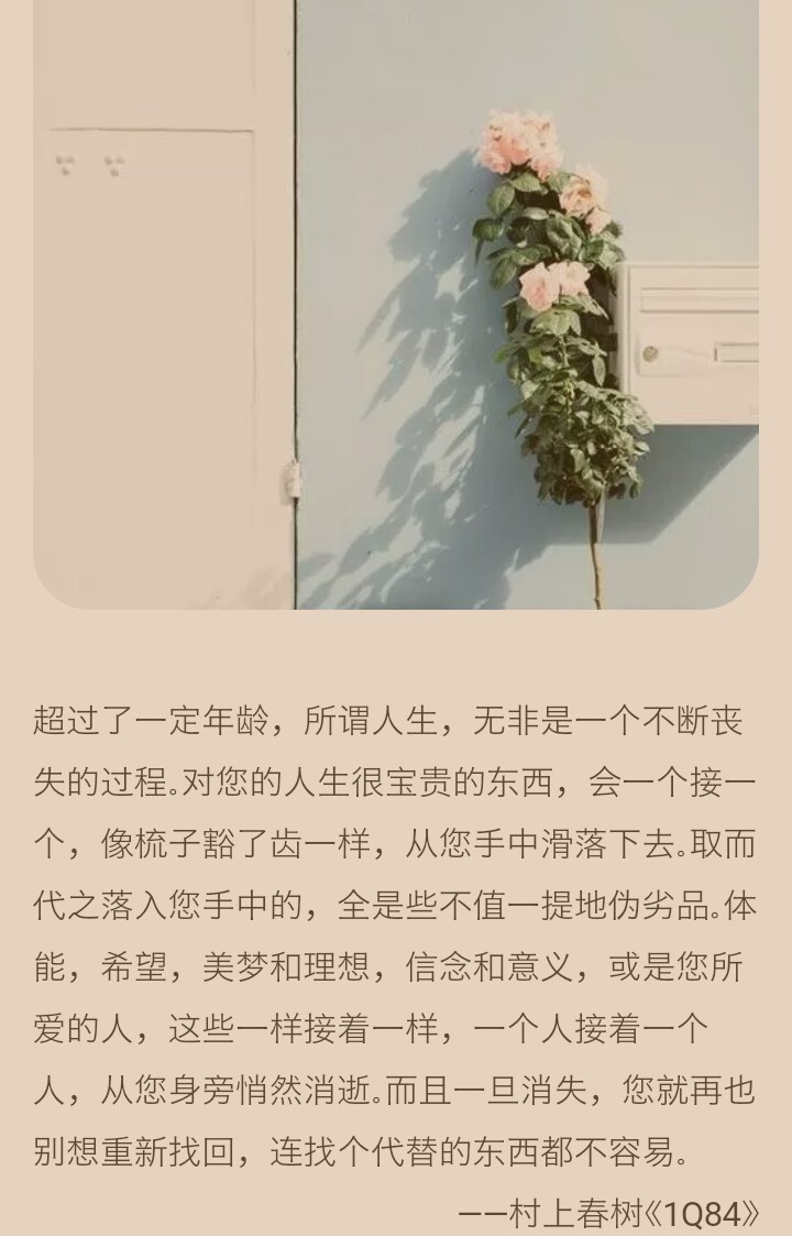 村上春树《1q87》