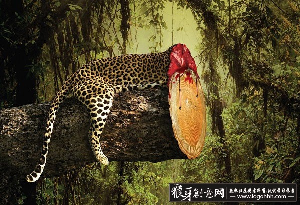海报灵感 绿色环保创意海报 创意公益广告设计作品欣赏 豹子元素创意图片