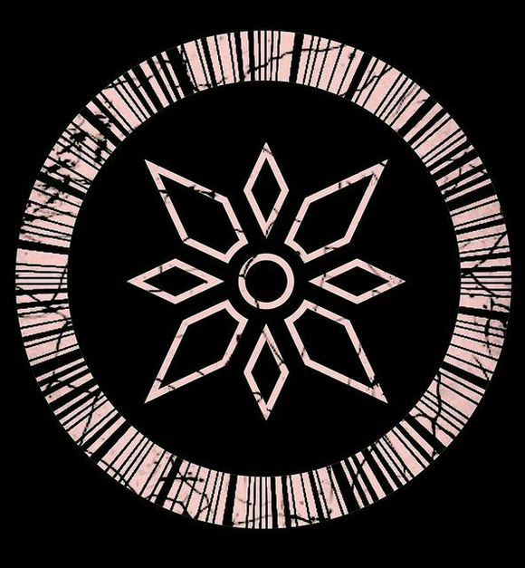 进化徽章 八神太一 亚古兽 石田大和 友情 加布兽 武之内空 爱心 比丘