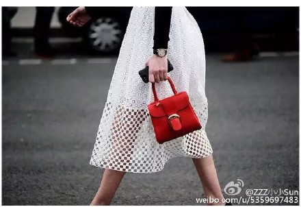 delvaux brillant璀璨包