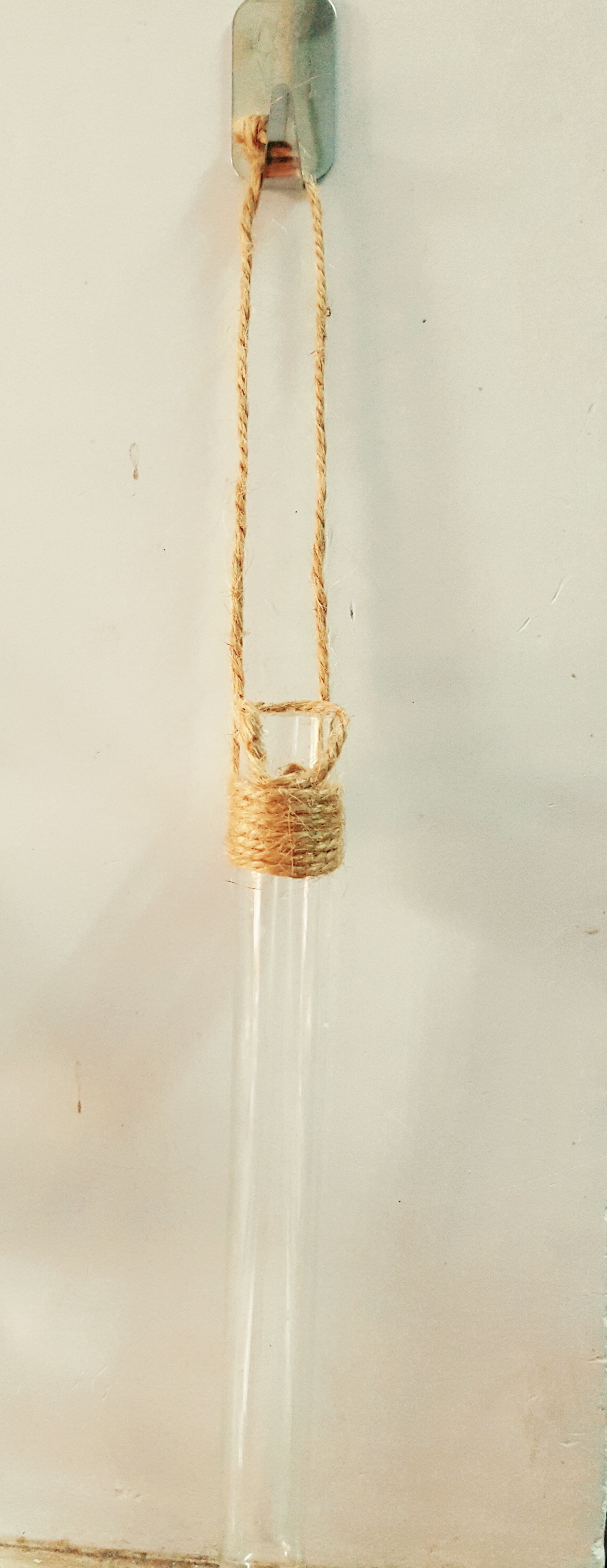 日常手机拍摄~试管小花瓶旧物利用/改造实验室的破试管,还有有个破