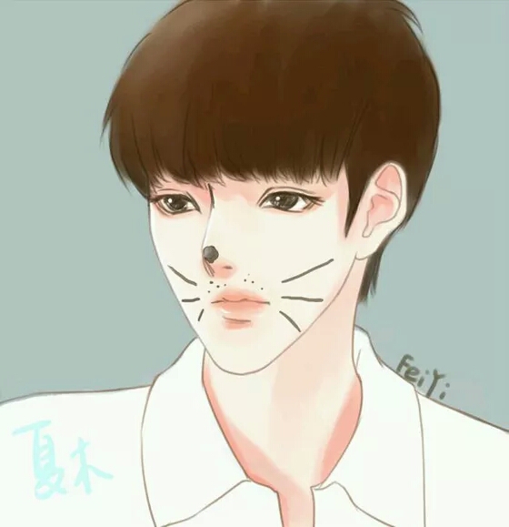 吴亦凡手绘 素描漫画 卡通吴亦凡 kris exo 花美男 偶像 明星 帅哥 小
