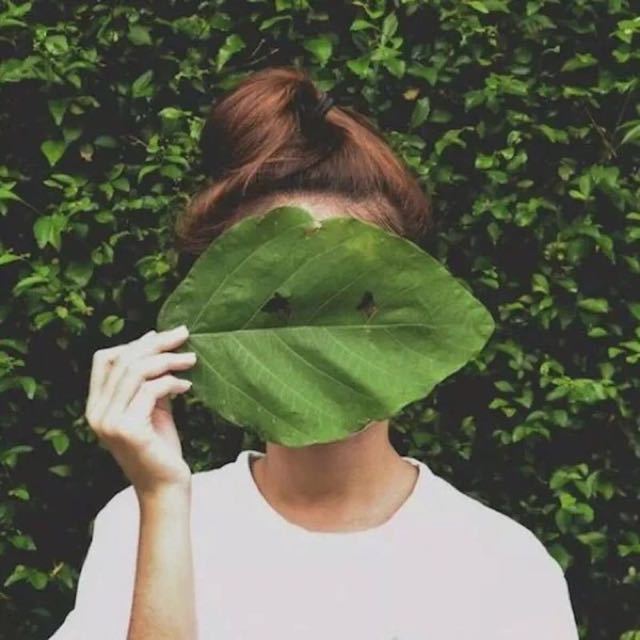 小清新文艺女生头像绿叶图片