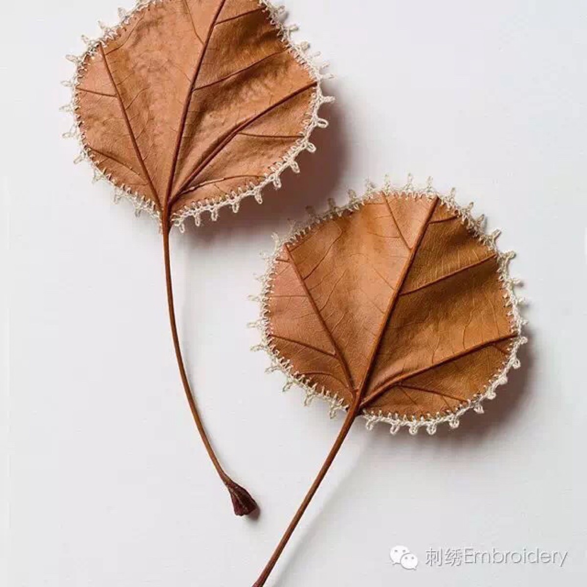 树叶刺绣图片
