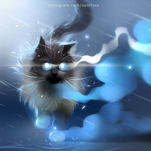 猫咪插画头像表情包壁纸,apofissx画师经典猫咪插画作品集