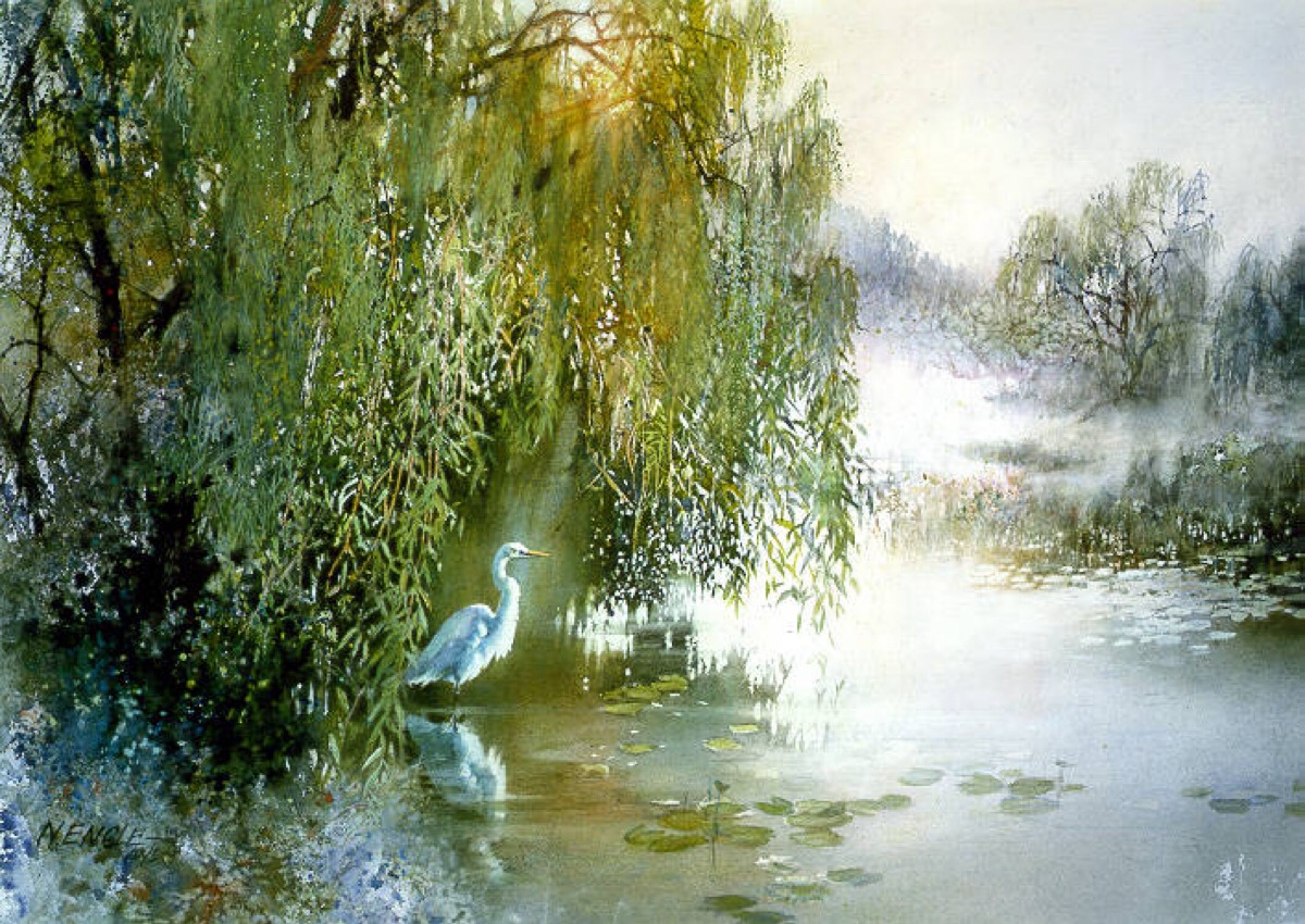 水粉柳树风景画图片