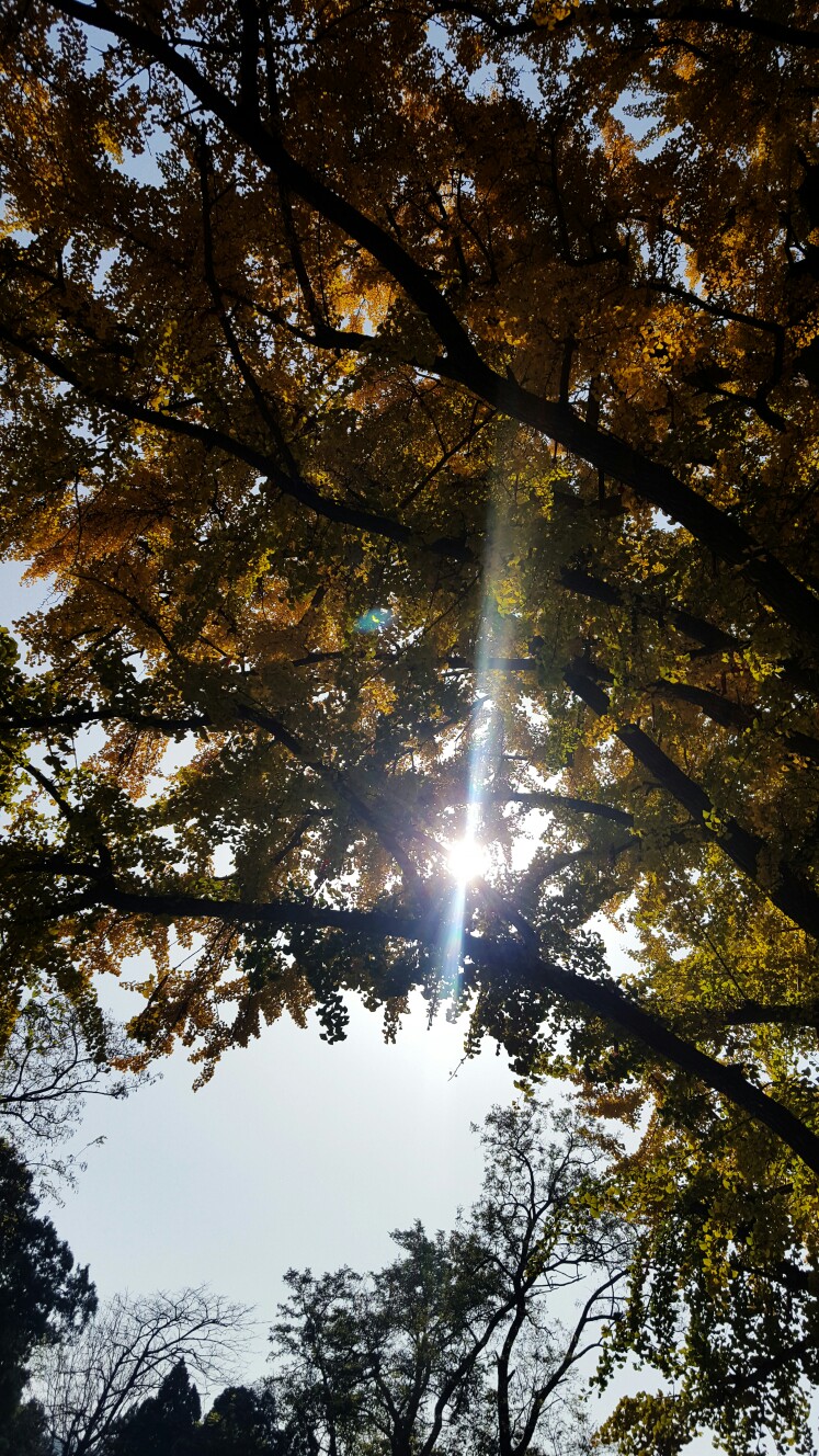 午后-堆糖,美好生活研究所