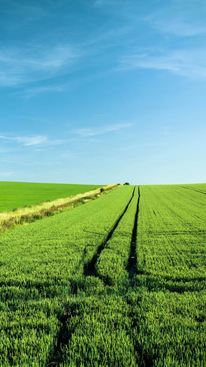 微博壁纸集-风景静物系列手机壁纸★ 【新浪微博:高清无水印iphone
