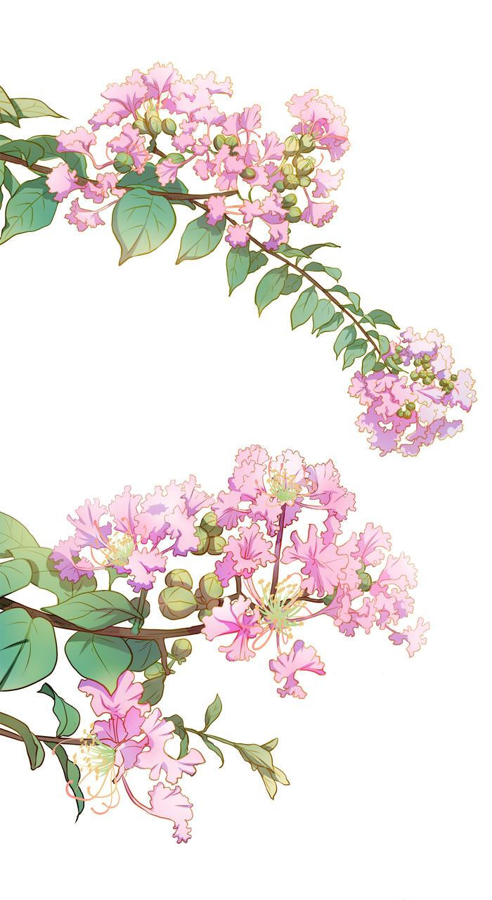 送给你们盛夏的紫薇花,不过现在是立冬了呢 (*^▽^*)