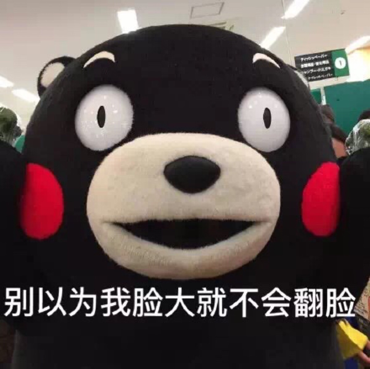 熊本熊表情包