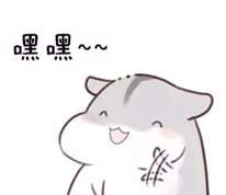 仓鼠表情包.嘿嘿