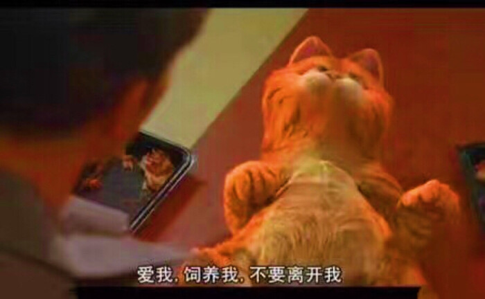 加菲猫 语录