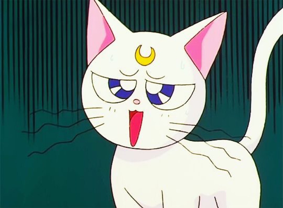 美少女战士表情包