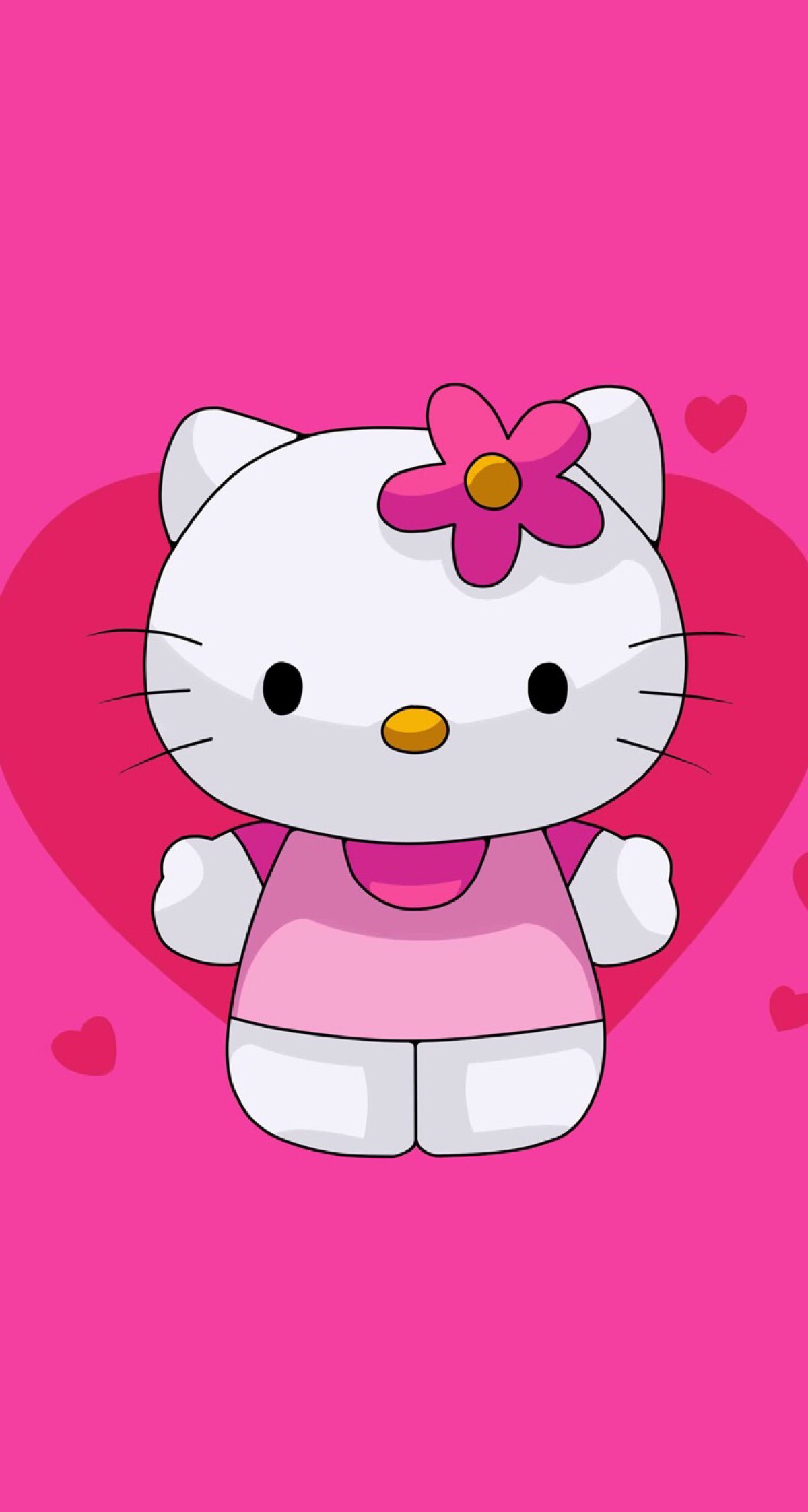 钟爱这只猫kitty