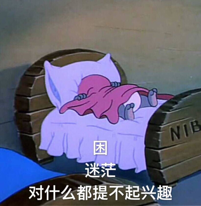 汤姆杰瑞